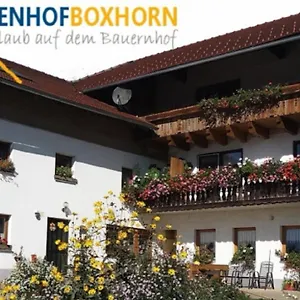  Apartment Woferlhof, Boxhorn